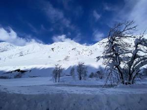 Appartements Residence Astazou - Appartement avec balcon au centre de Bareges MAE-8554 : photos des chambres