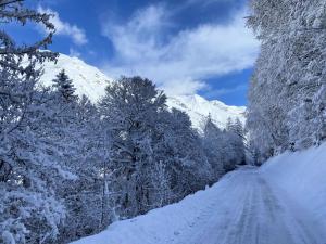 Appartements Residence Astazou - Appartement avec balcon au centre de Bareges MAE-8554 : photos des chambres