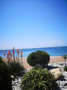 Résidence Caraibes - Appartement 2 pièces au 1er étage à Le Barcarès - Cap Coudalère MAE-8334