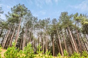 Les Maisons de Belle Dune - maeva Home - Maison 2 pièces 5 personnes Sélection MAE-4185