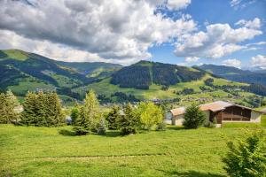 Chalet De Cassiopee - Demi chalet dans un cadre exceptionnel a côté des pistes MAE-2944