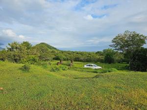 Farmhouse with Pool - Kalavady Farmstay