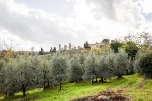 Spacious Estate in San Gimignano - Strada