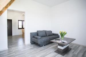 Agroturystyka Golubie