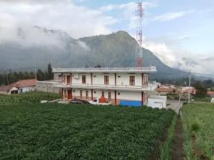 AAA, Astungkara, Amazing Bromo Villa, Managed by Triple A Tour, Additional Bromo Jeep Tour and Airport Shuttle - 布罗莫