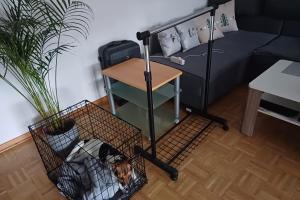 Private Rooms
