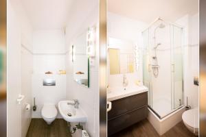 Kormoran Kranichflug