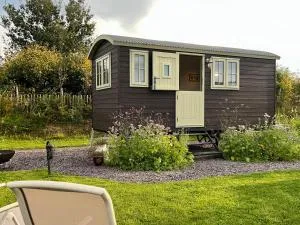 Cynefin Shepherds Hut - Llanllwchaiarn