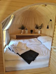 Tiny Igloo Bergström