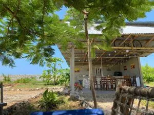 Habibis Bottle House - Chake Chake