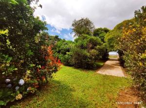Casa do pescador, na rota do Cristo Protetor