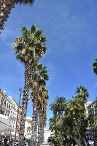 Saint Barth Guest House - Historic Loft in Bari