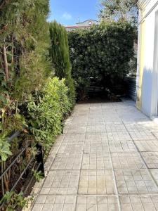 Lettys cozy flat apartment