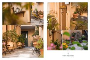 Blue Jasmine Urban Living