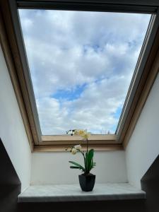 Harrison Homes Prague Apartment 02