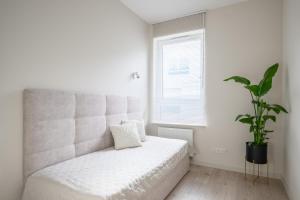 Apartament na Brodatego