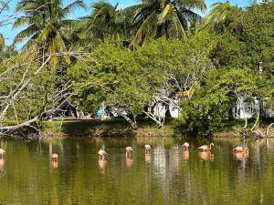Unique Beachfront Casa Kyma, Pool, San Crisanto, Yucatan