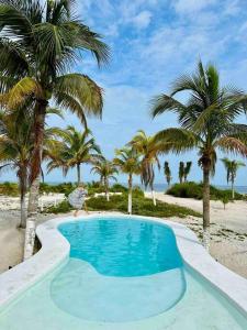 Unique Beachfront Casa Kyma, Pool, San Crisanto, Yucatan