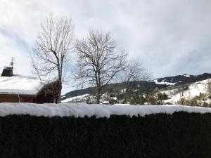 Appartements Residence Edelweiss - Edelweiss B3 MAE-0844 : photos des chambres