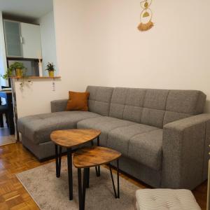 Apartman Dory 