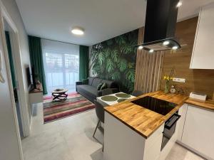 Apartament Zacisze 13