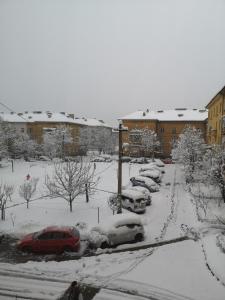 Apartament Florimont