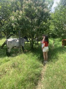 chez Yannick Hospedaje Los Amigos