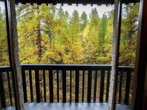 Résidence Les Ecrins - Studio au calme vue sur la forêt de Mélèzes 1650 MAE-9594