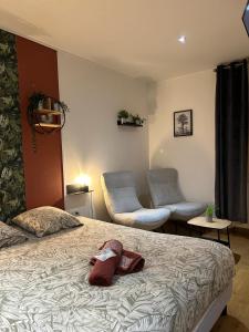 Appartements Velours & Balneo : photos des chambres