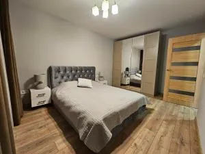 Pleasant stay 1-bedroom apartment - Beržynė II