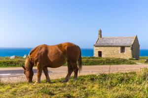 Maisons de vacances KER HIR - Charmante maison bretonne tout confort : photos des chambres