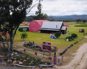 Mountview Wines and Accommodation