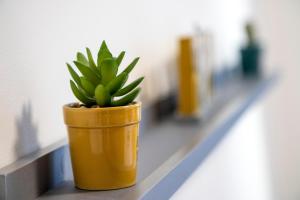 Guild Street Apartment ✪ Grampian Lettings Ltd