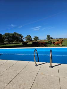 Campo Cuyen, Cabañas