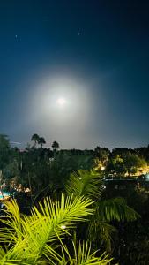 Estudio y vehículo* 5 Avenida