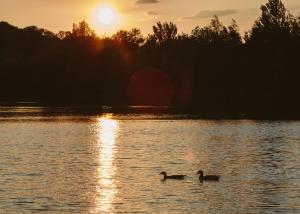 Swanborough Lakes Luxury Lodges