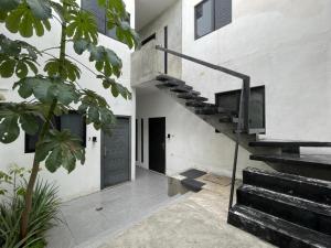 Casa y departamentos lavanda