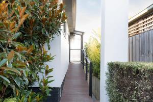 Sunny Delight: WiFi & Parking