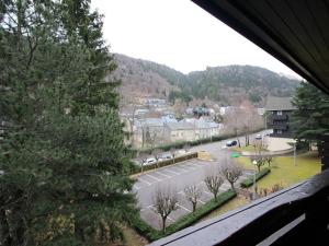 Duplex au Mont-Dore avec parking, proche centre et pistes - FR-1-608-268