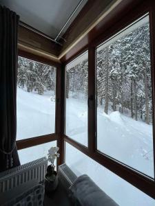 Elizi1winter apartments Pamporovo