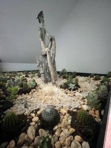 ¡Intimo, pequeño, confortable, mejor que hotel!