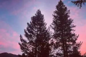 Cobalt Peak - Pet-Friendly Sauna Panoramic Views - Cascade-Chipita Park