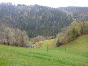 Fewo Kaspershäusle: Alleinlage mitten im Wald