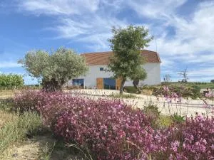 Cas'Amaro - Alenquer