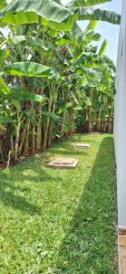 Relax Villa Kiwengwa