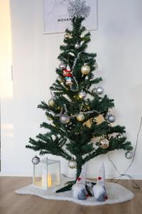 Big apartment, near Santaclaus Village