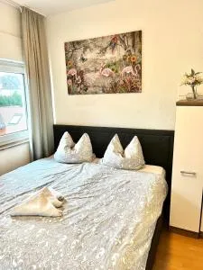 BUDGET City Appartement Küche,Bad, Parken im Zentrum von Ravensburg - 沃尔夫埃格