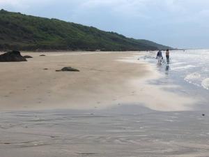 Appartements La Belle Epoque : photos des chambres