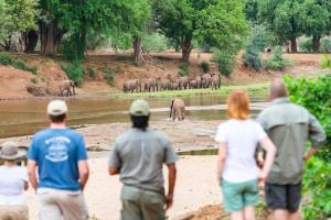 Nkula Walking Camp by RETURN Africa