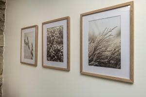 Cheerful 2 bedroom cottage with garden